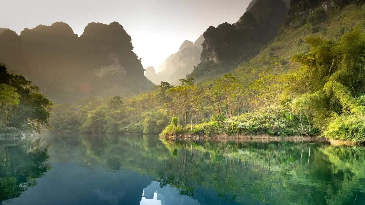 创意智能系统高端